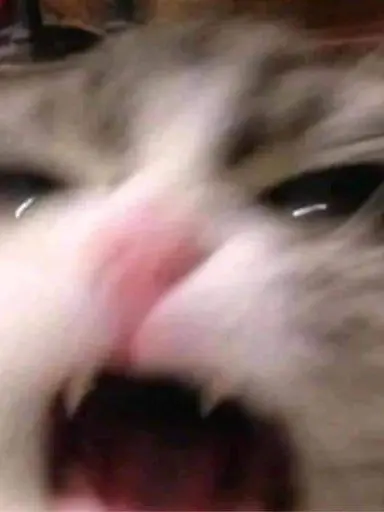 RoomyBoy8616의 도봉동에 납치 사건이?