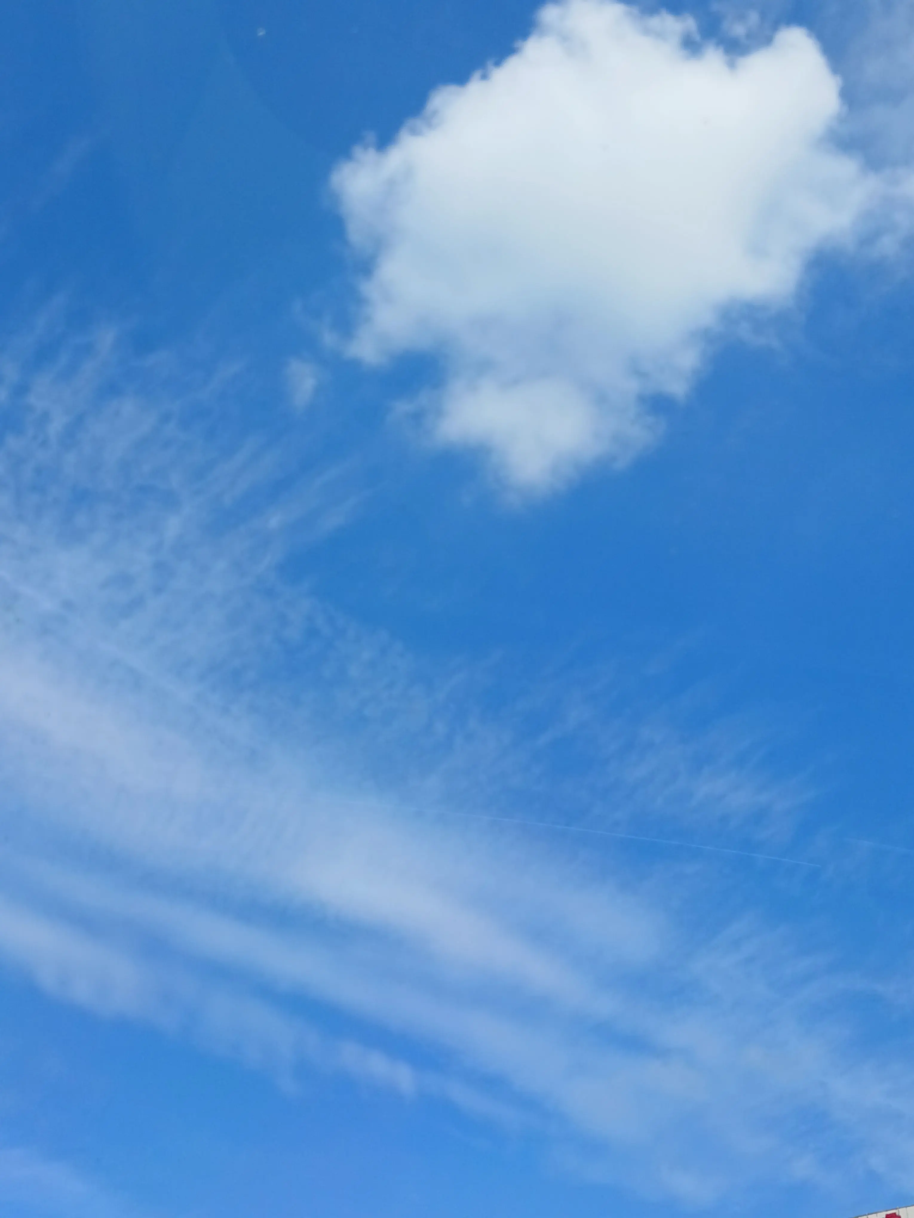 Rukuni의 리레볼루션 × 주토피아