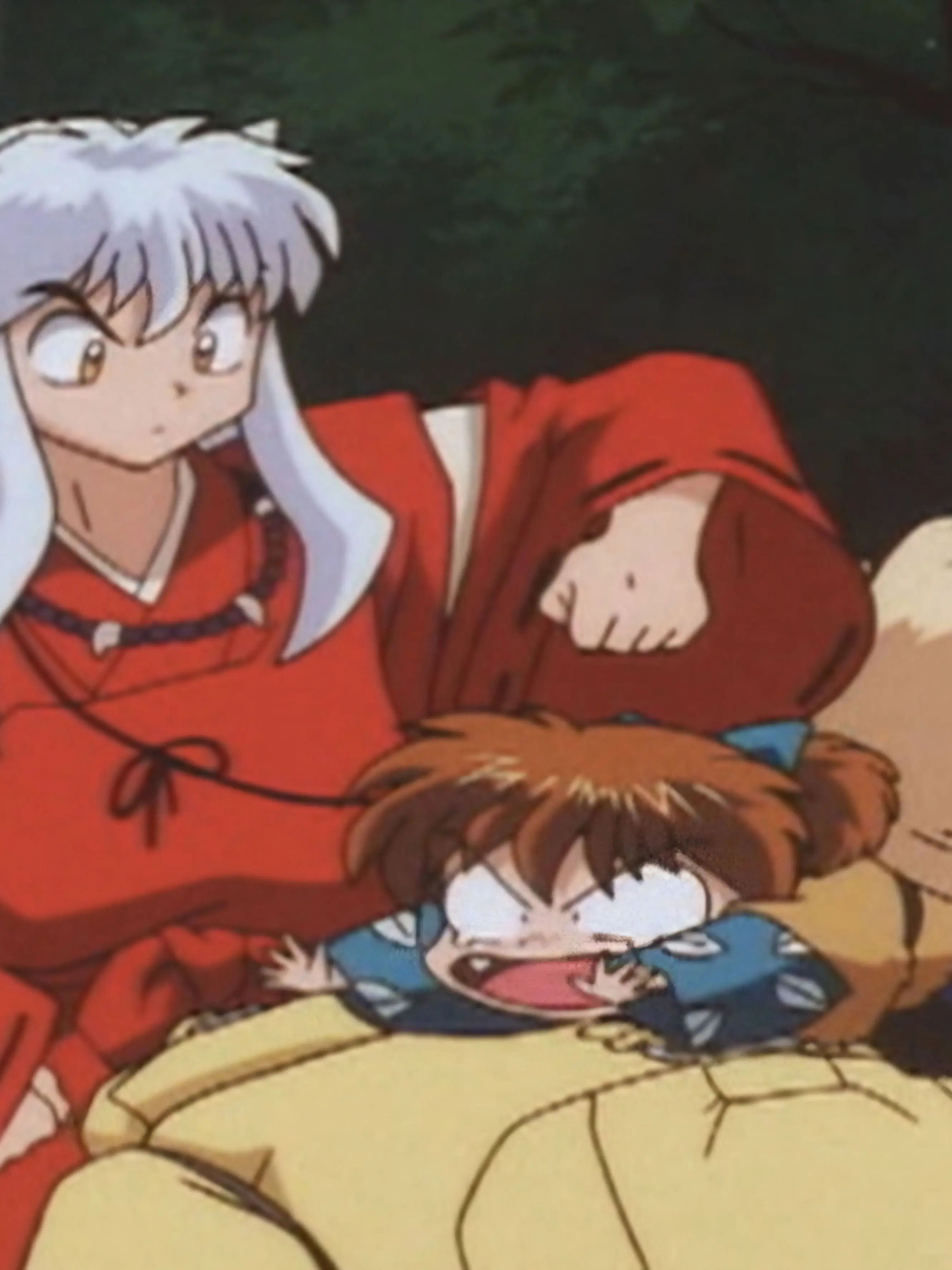 VainAnise8702의 이누야샤+여우