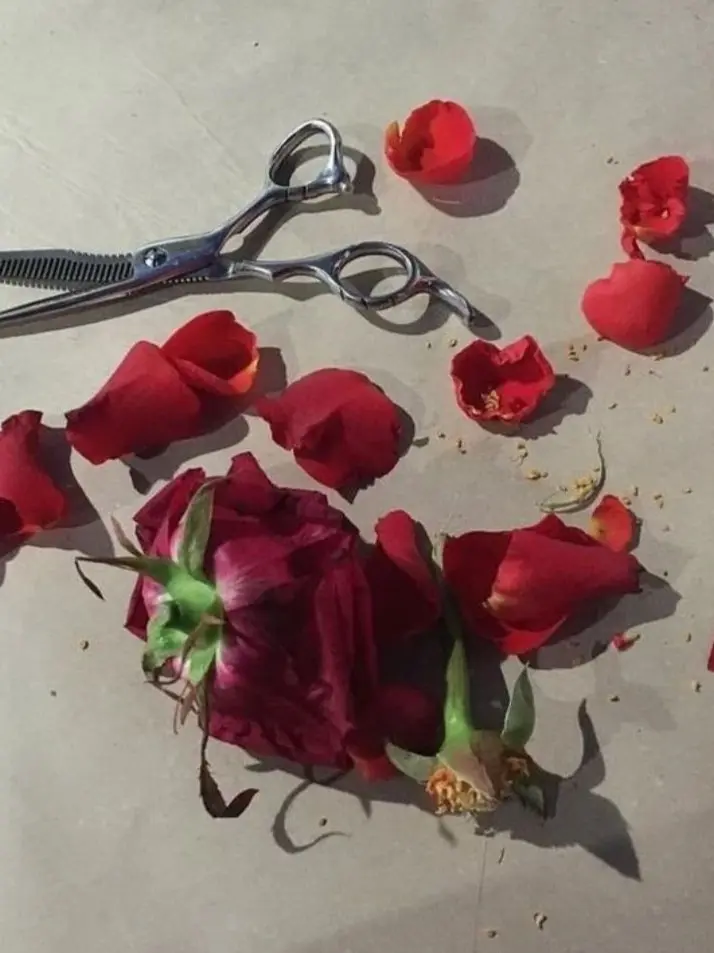 SoreDill0628의 1010