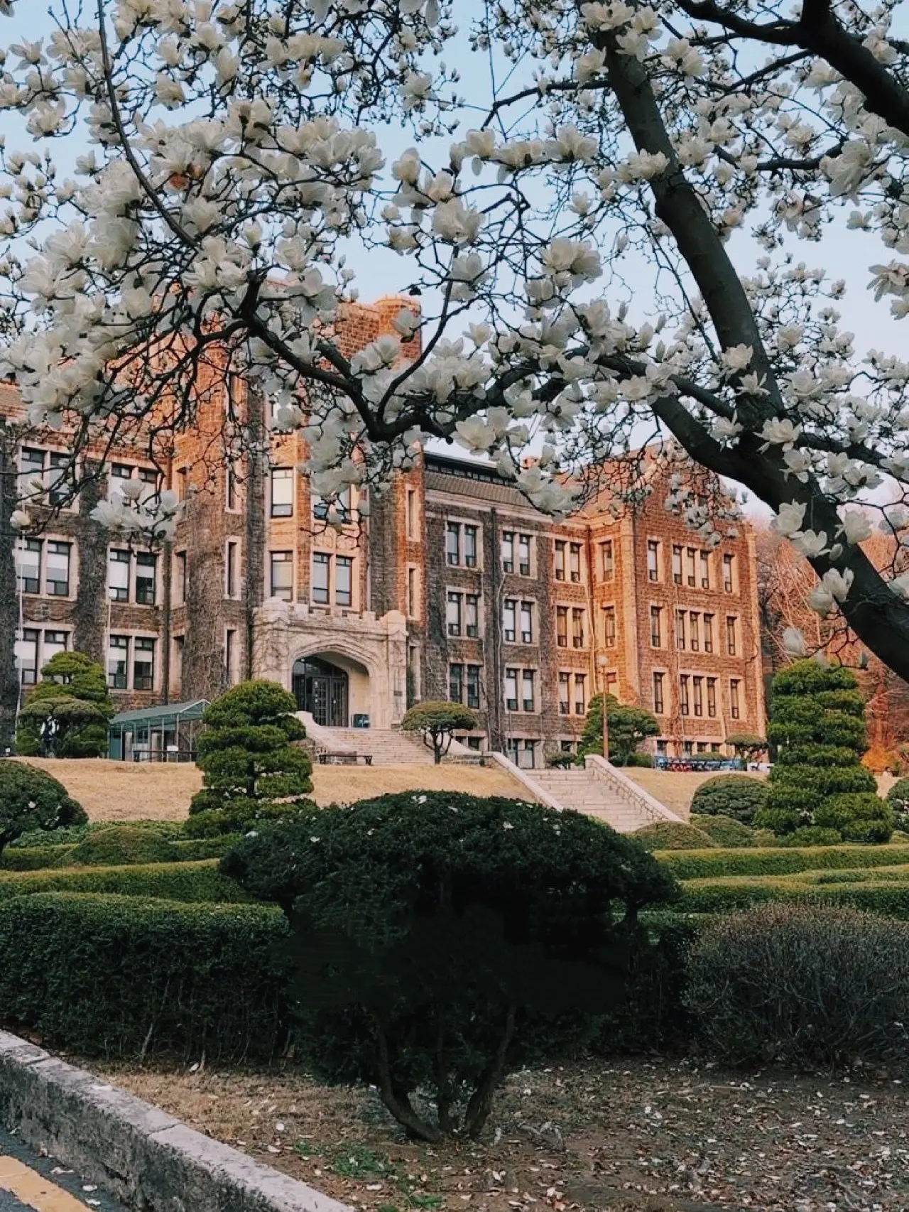 aiueo_.11의 NO MERCY(yj ver)