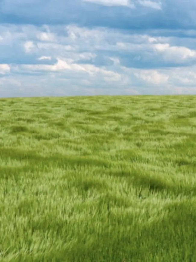 Kill_you-_-의 見捨てられたサバイバー達と長い旅