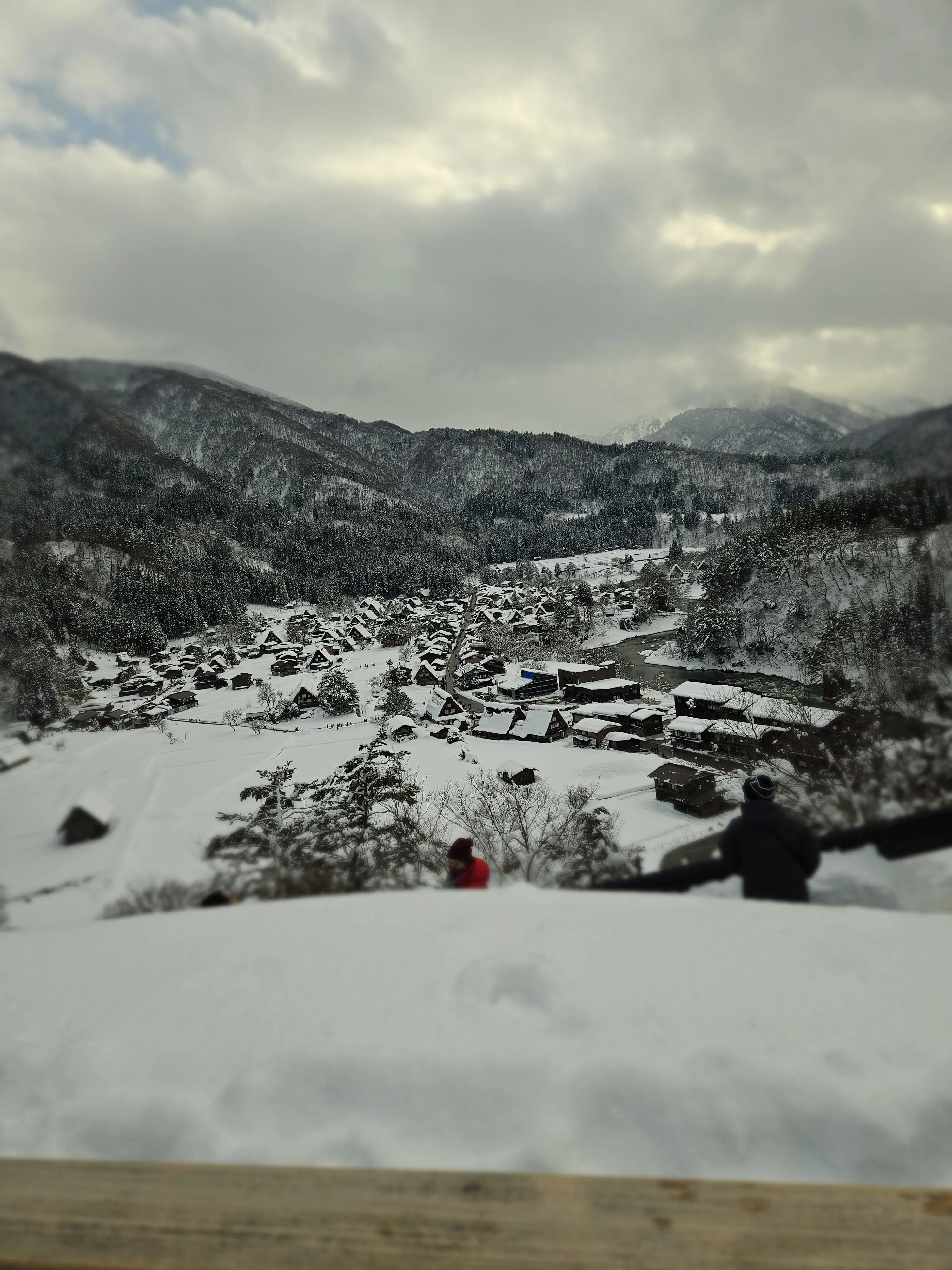 SleepyDog8263의 운동부 뜰팁