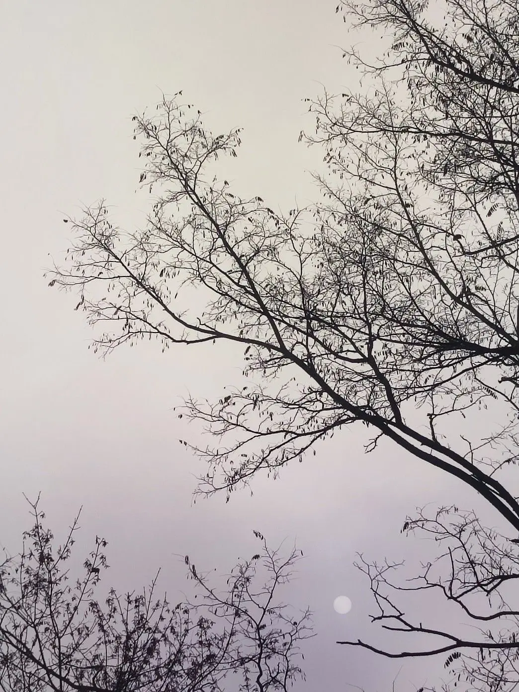 I_ae의 경찰 패러다이스