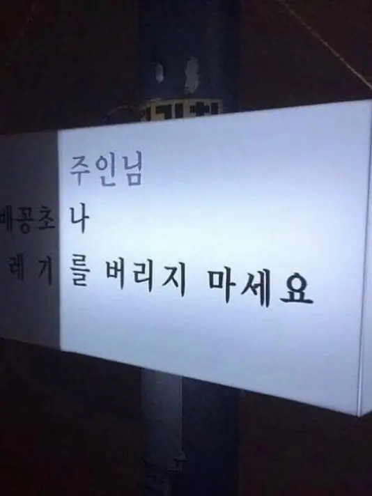 SaiLL의 바보야, 멍충아 감정쓰레기. 사랑해