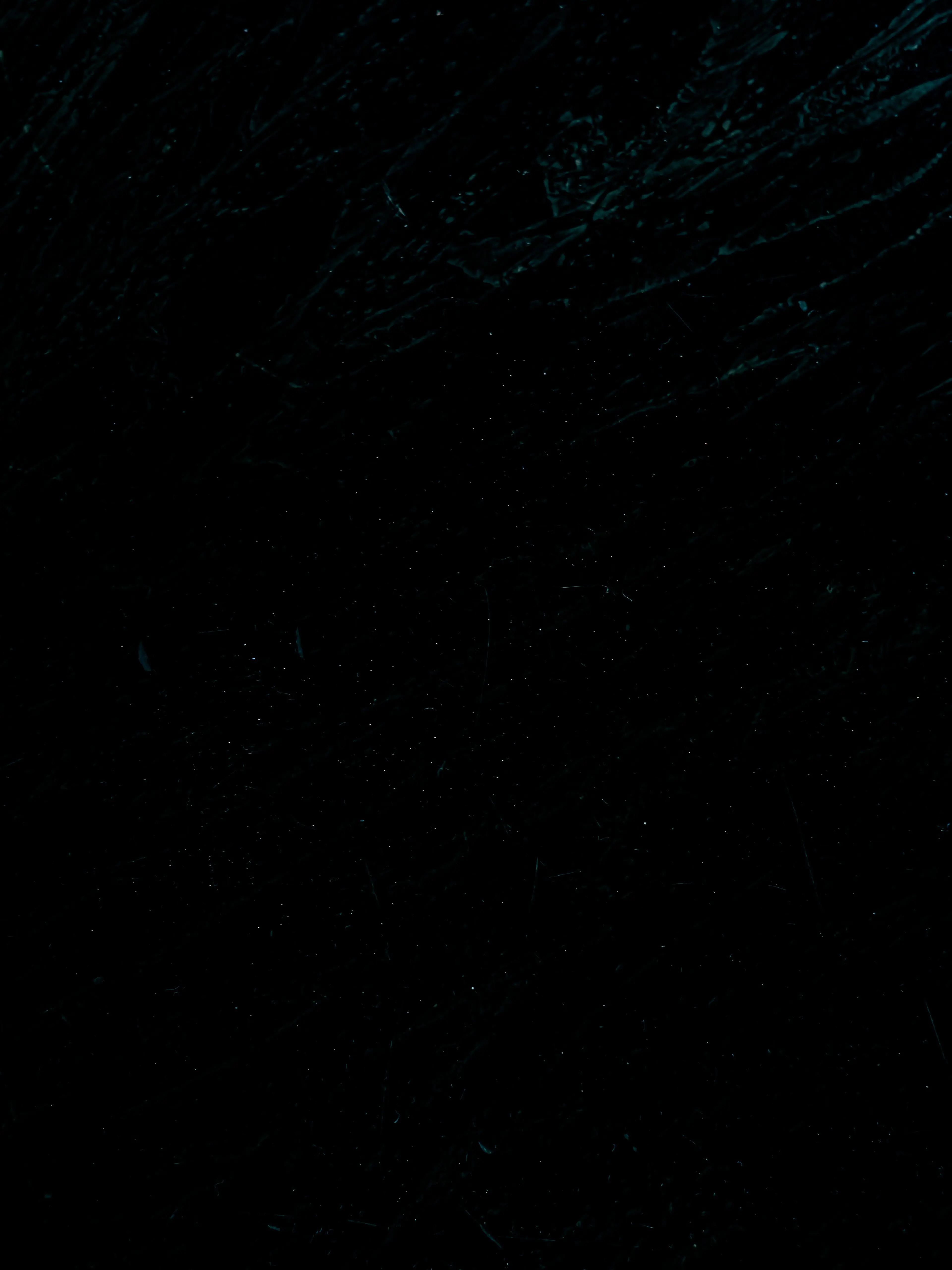 Fakecat의 장근원