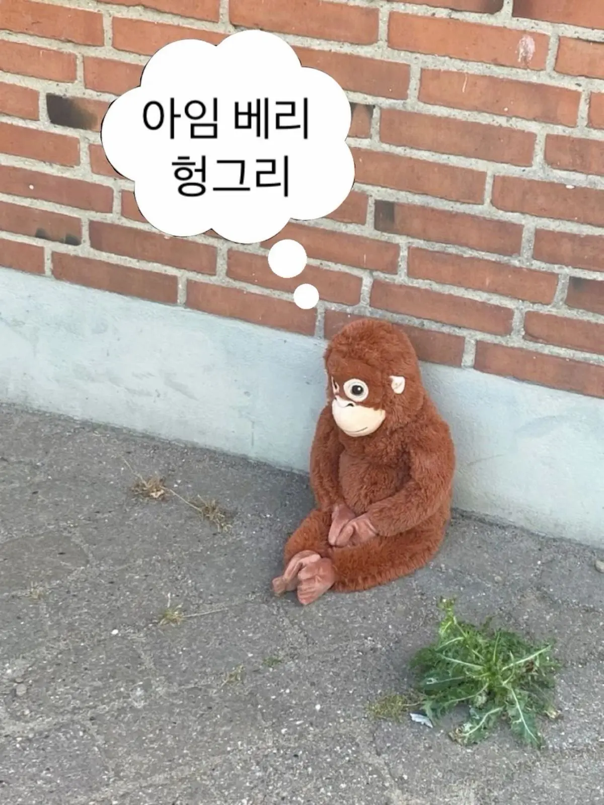 Who_is_it_의 데드아이(+여우)
