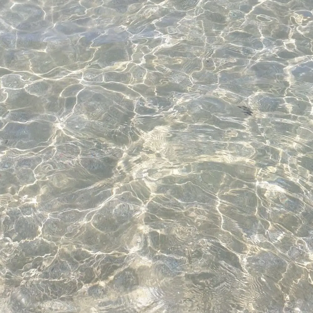 nitsukuTBTB의 🌵🐰🌶🌱☕️💰🍞