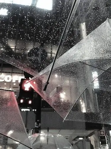 dx.ye1_의 조직이란