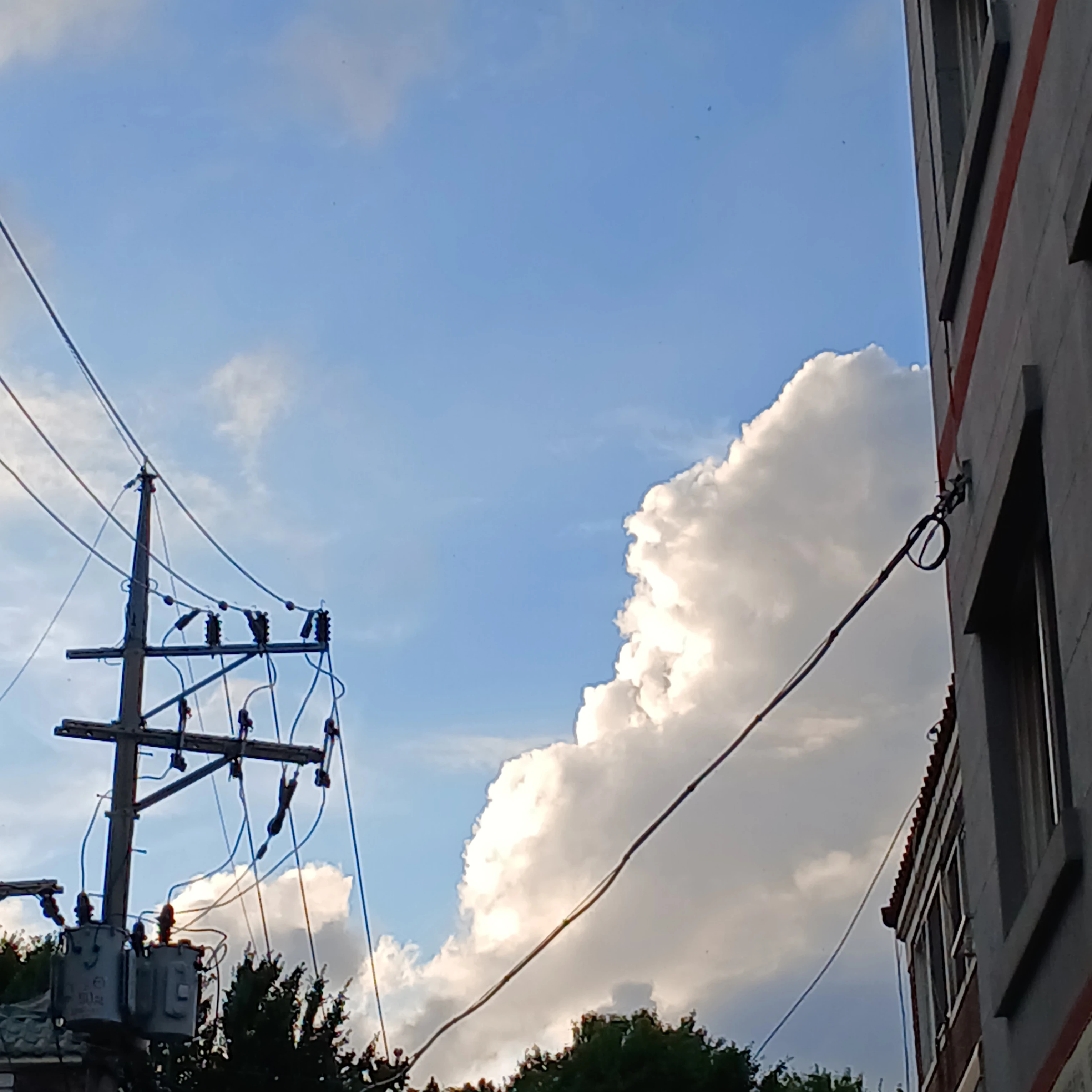스코,싸이코드,리레에 만남