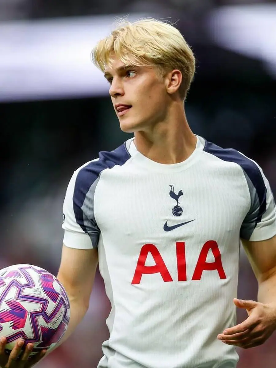 FestalFryer2744의 Lucas Bergvall