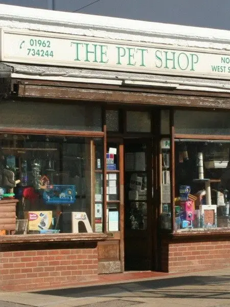 Spudling06의 Grey - Pet Shop