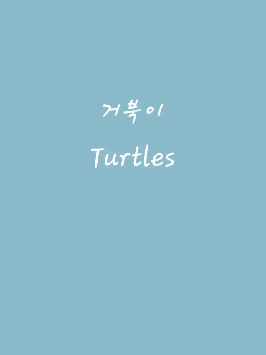 ghcor1234의 그룹 거북이 TURTLES