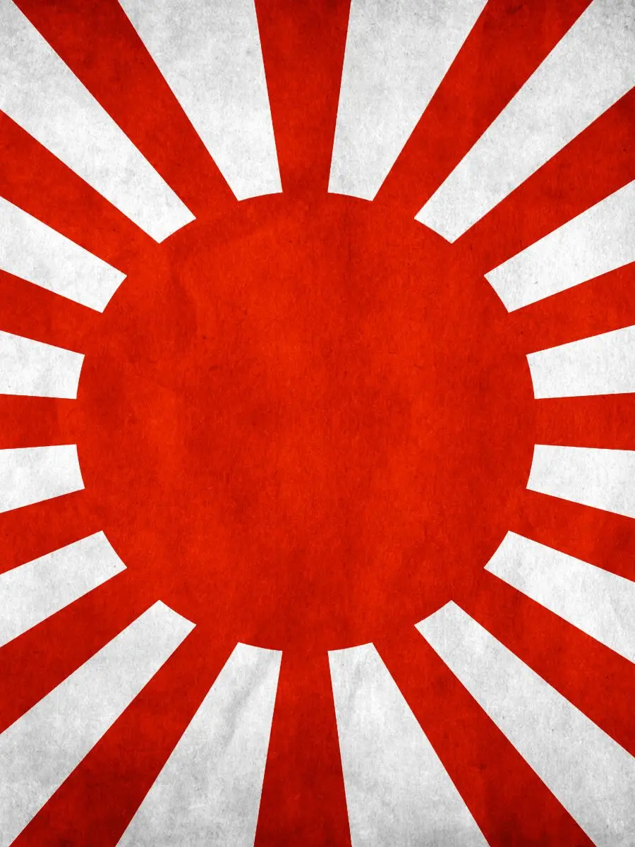 SolemnSash3460의 八咫烏