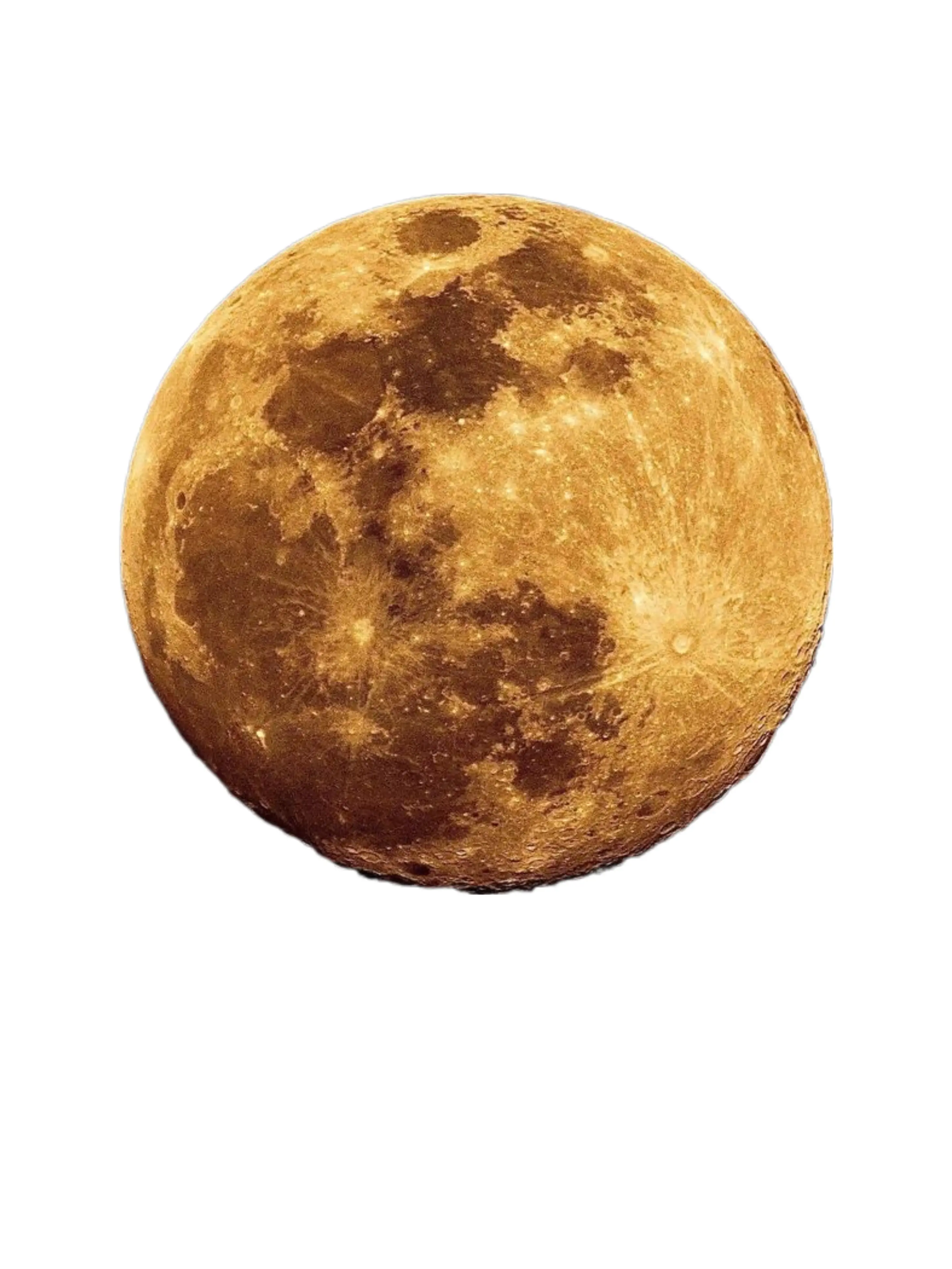 ERIKA119의 세돌이들과 평화로운 한가위 보내기🌕