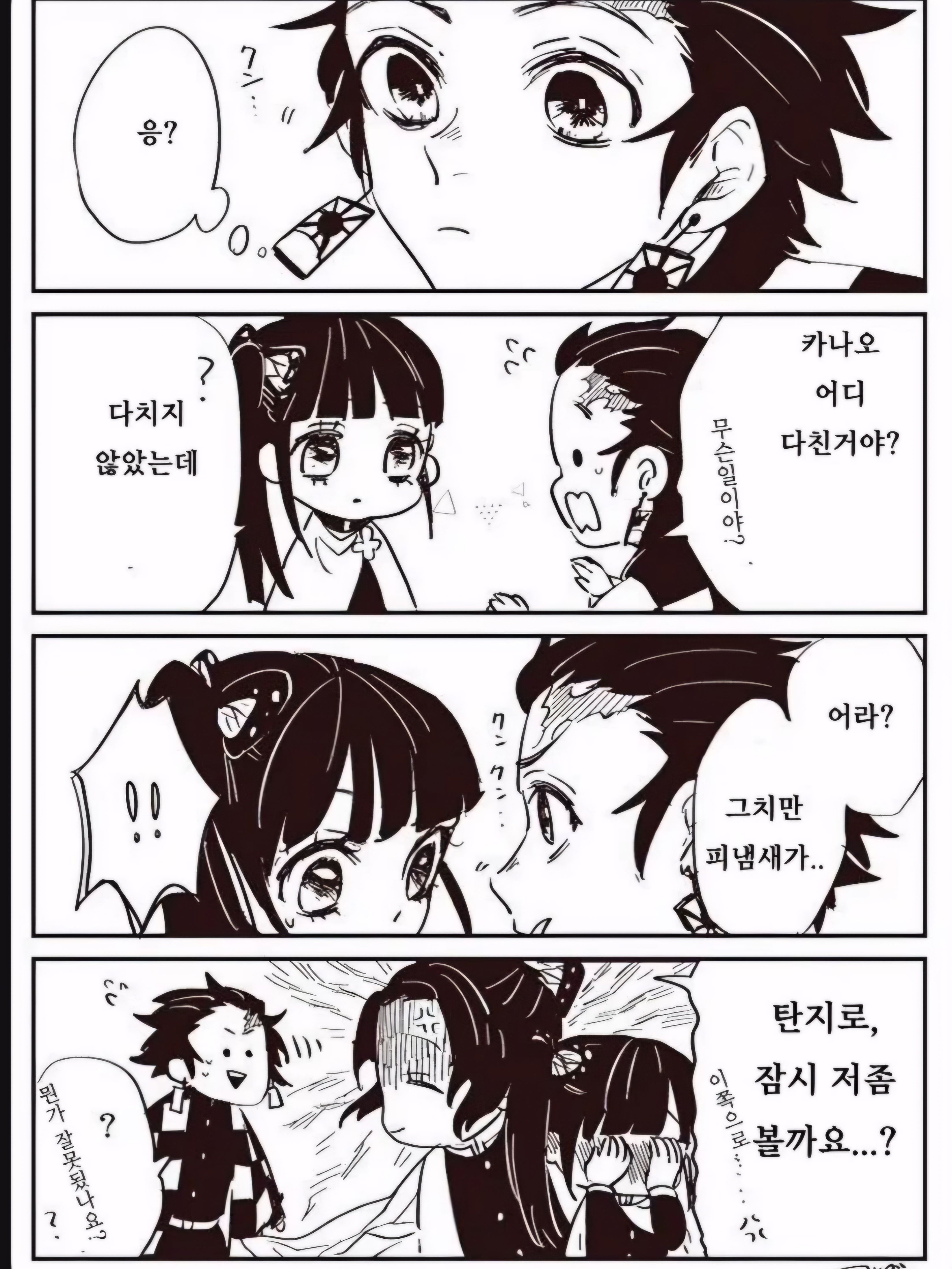 귀멸의 칼날-카나오,탄지로 대표 이미지
