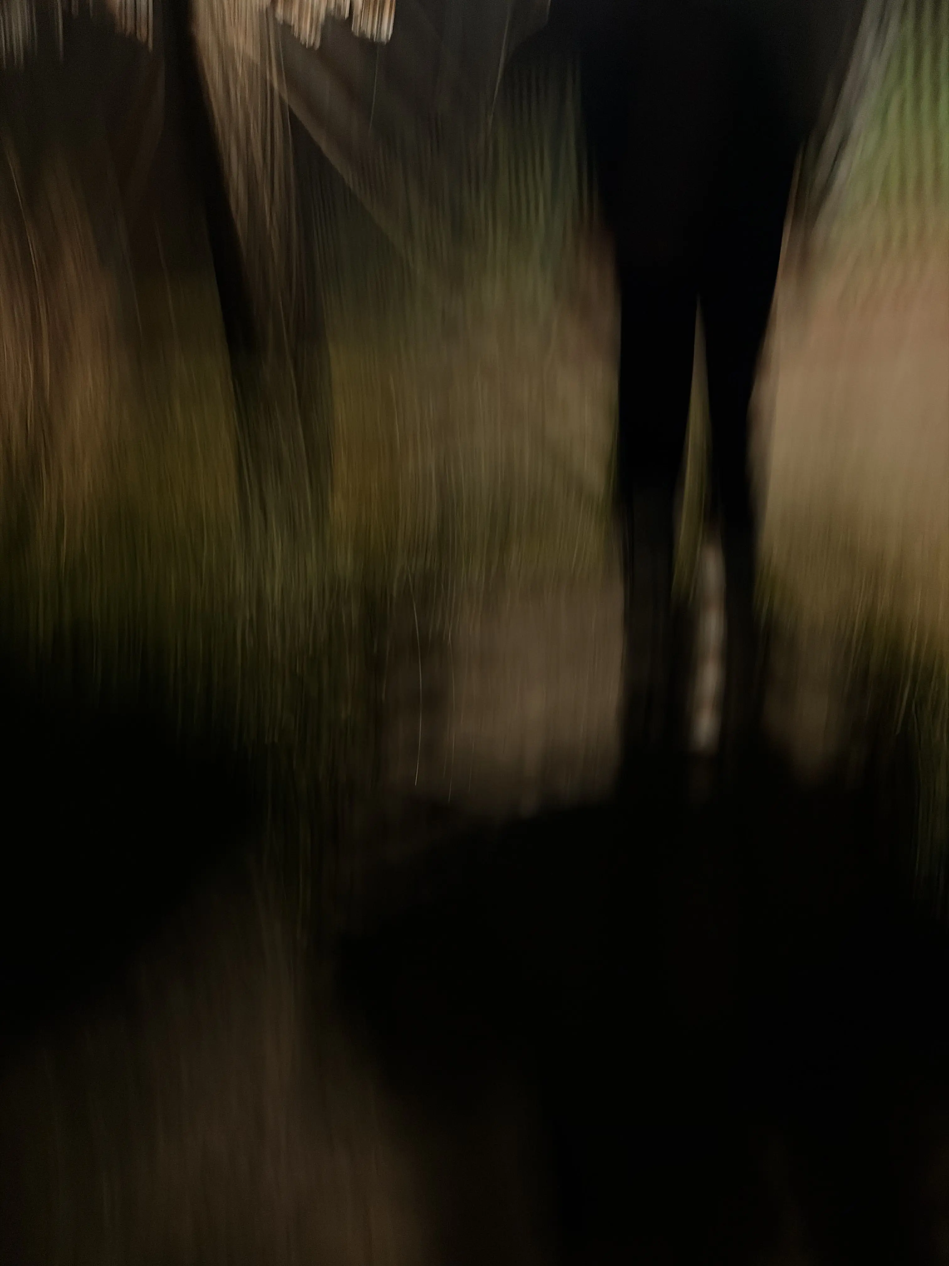 RoundPan8994의 패러다이스 하드코어 학교생활