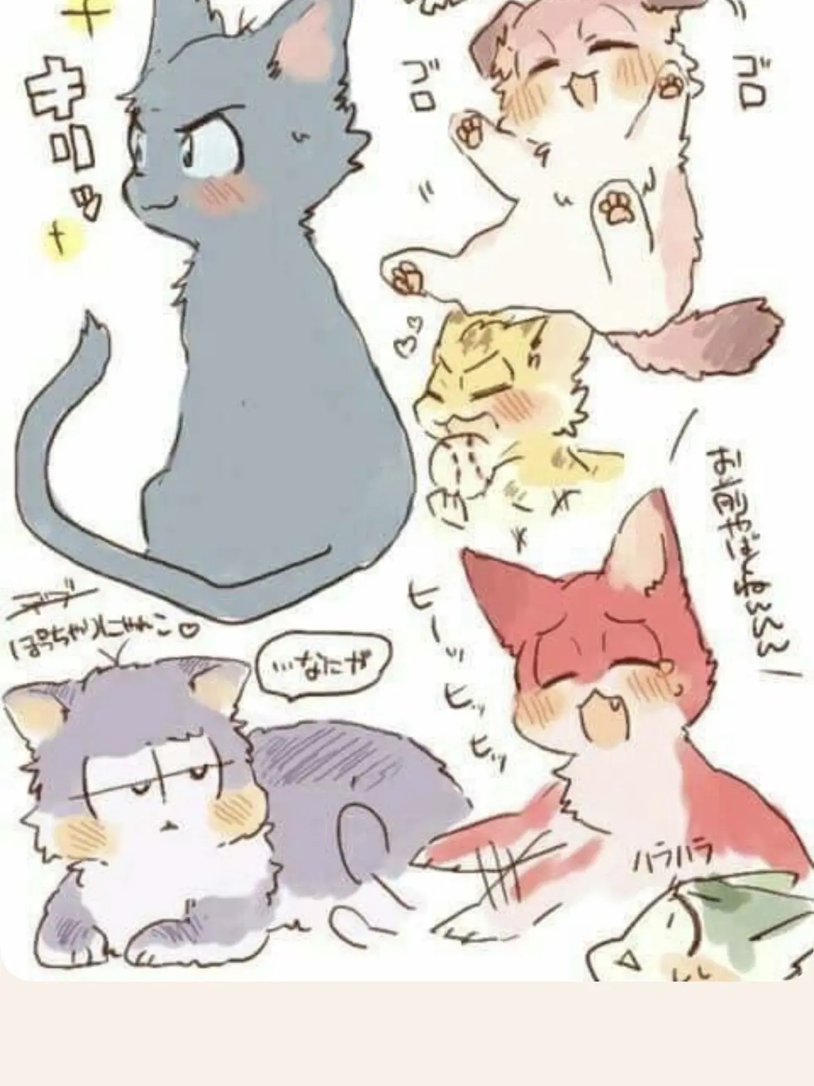 CleanEmber8105의 6匹の猫ちゃん