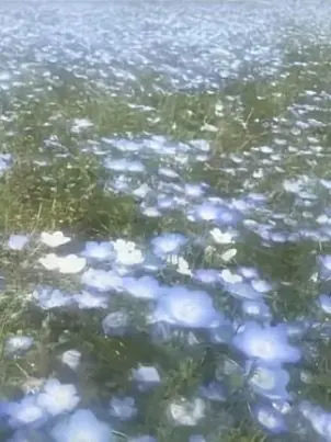 meu의 『君にだけする " 嘘  " 。 』