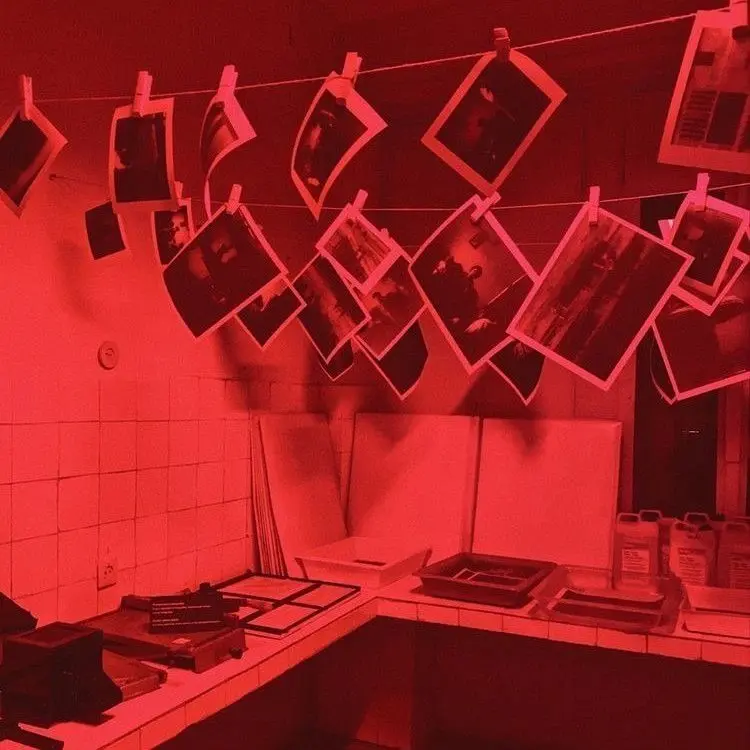 Plavelist의 놀이공원 (4)