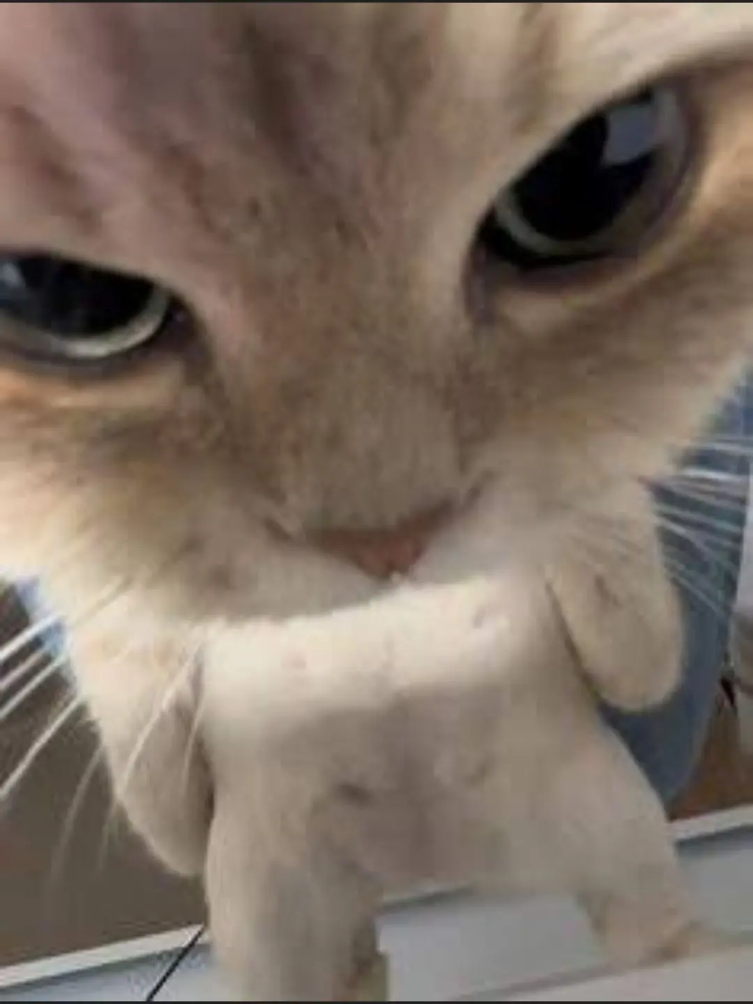 DCE.dce_16의 댕컴RPG(환장RPG) 갠용