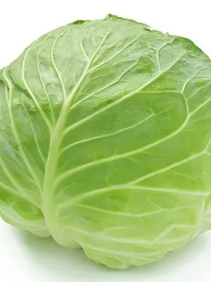 ScaredMouse8632의 Nasty Cabbage