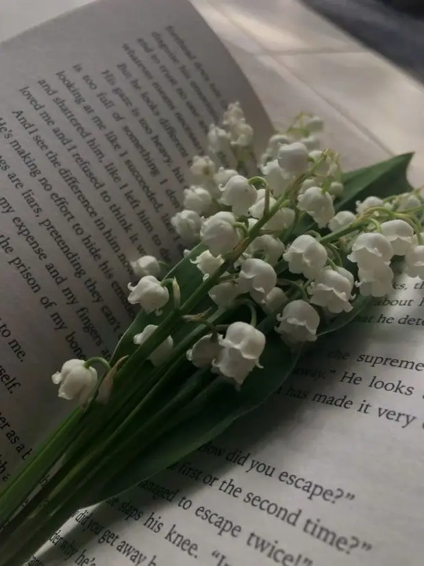 copying123의 언젠간 찾아올 행복이라 해놓고 ,