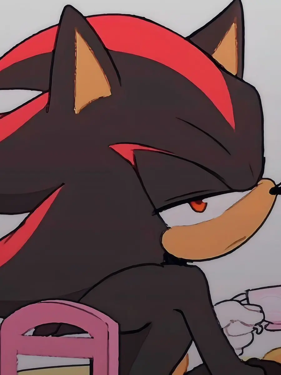FELLOW_GOOBERS의 Shadow the Hedgehog {SHADOW X USER} ☆♥︎☆