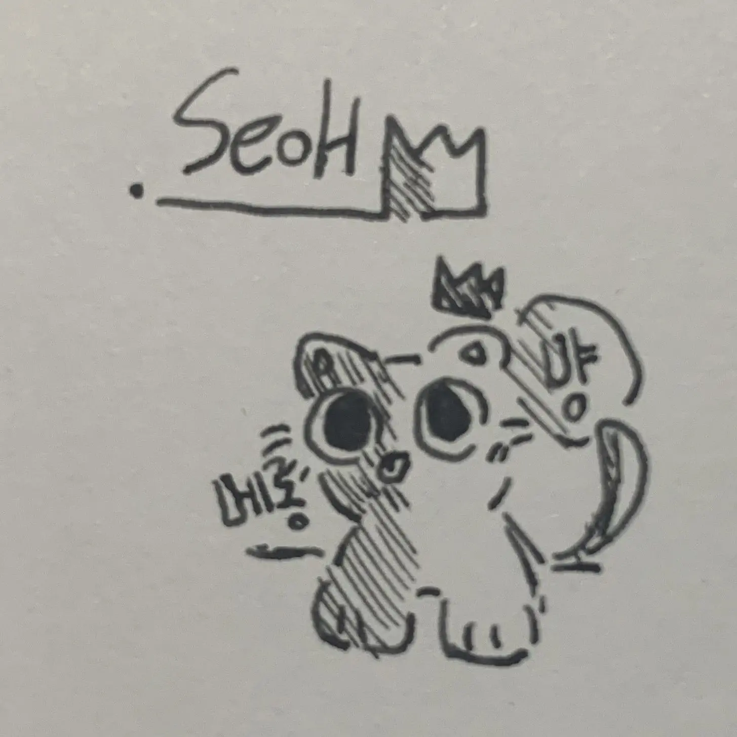 Potter_hi의 새가족 3인방