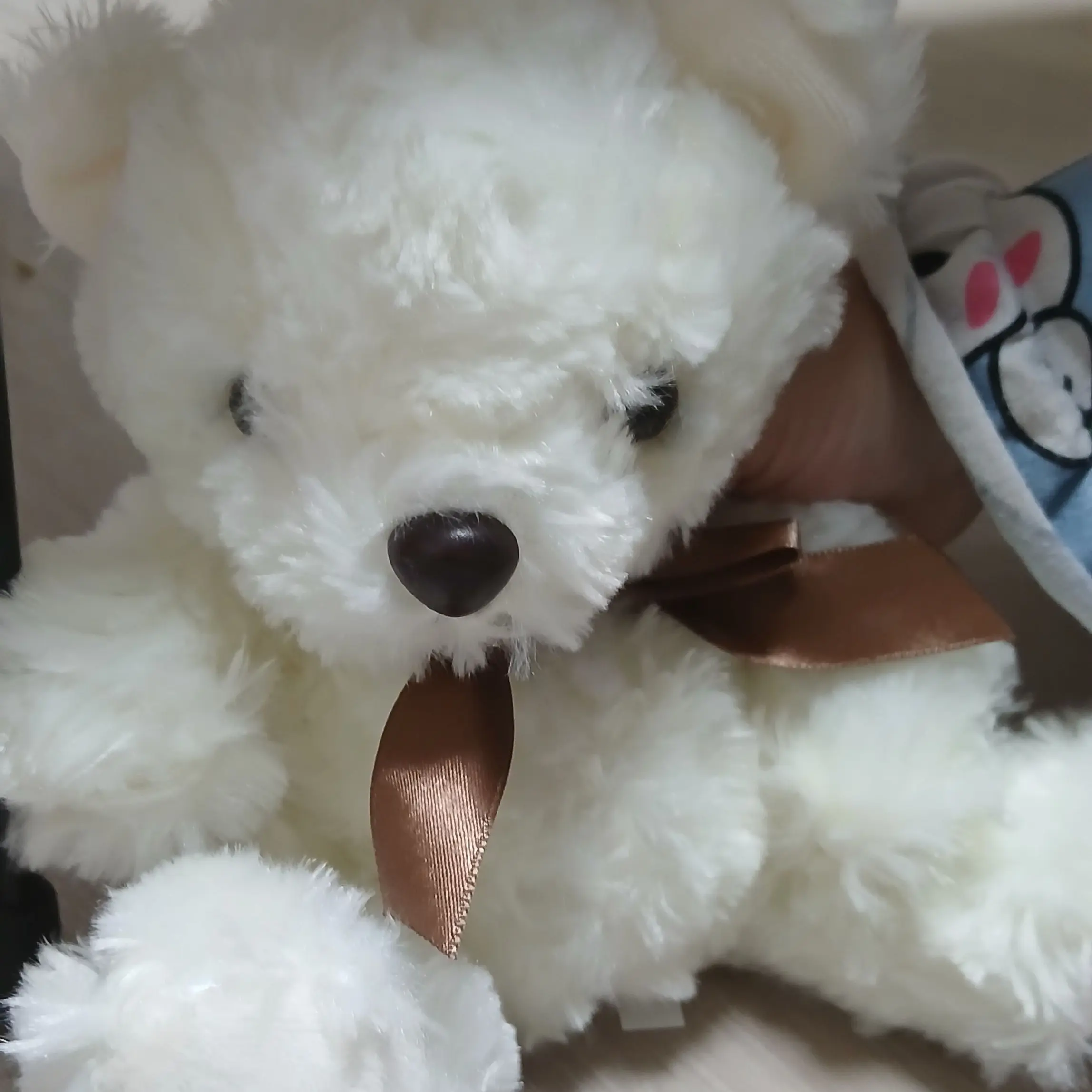 SicklyWolf8977의 제 2회 와르르 패밀리