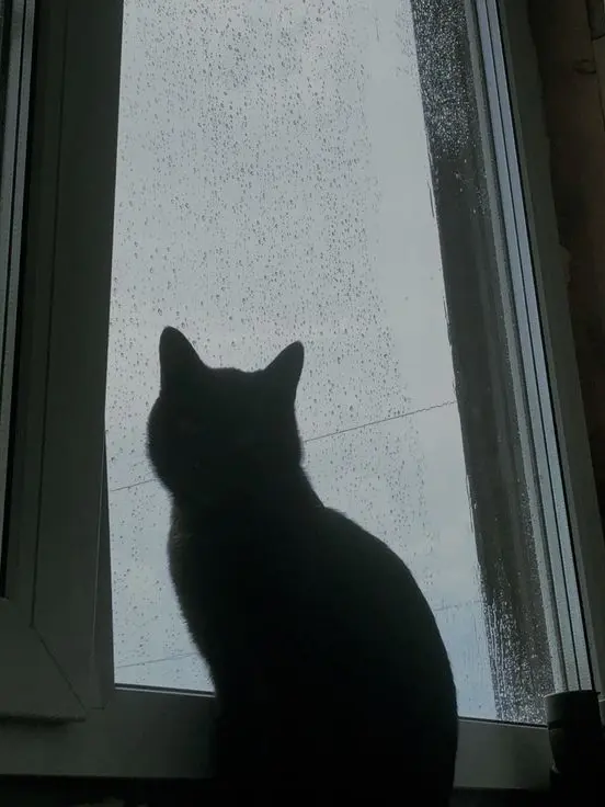 GoodNiece4490의 その距離、本能です