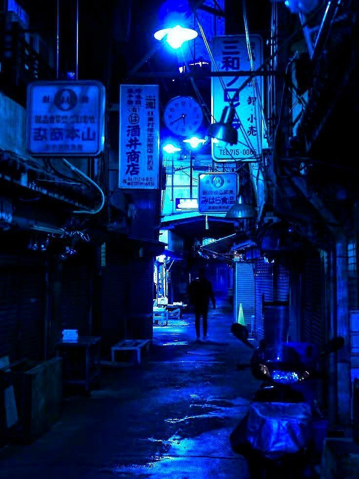 보스님 대표 이미지