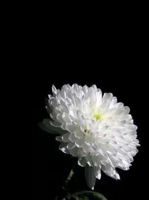 28421의 윤재하
