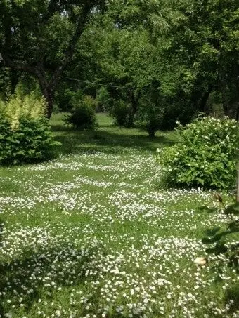 PoeticWeed2197의 TK