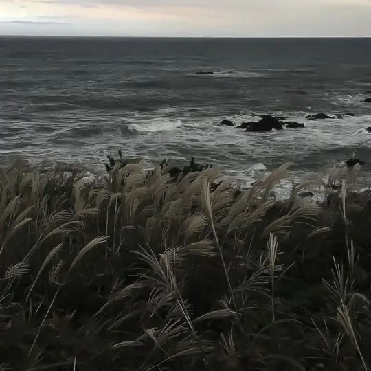 waitforyou4000의 단념과 해방