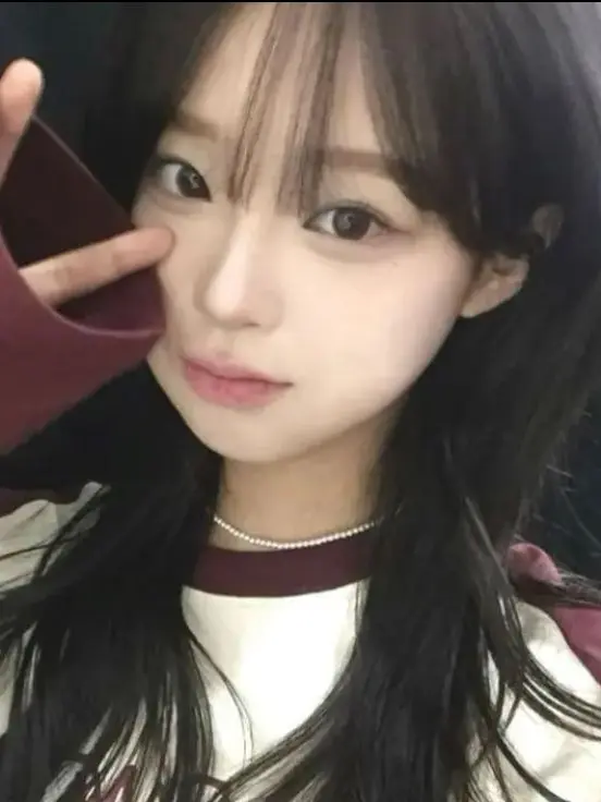 DGR의 남녀무리(늑대+여우)