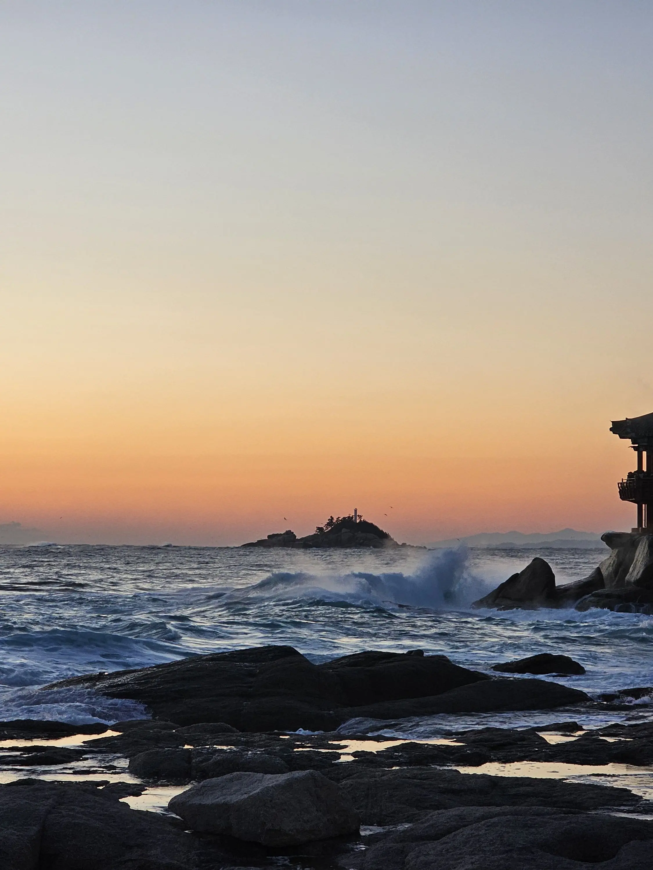 RoomyCheek7824의 미수반 대신 총 맞은 {{user}}