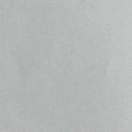 고고프렌즈! 근데 여우년
