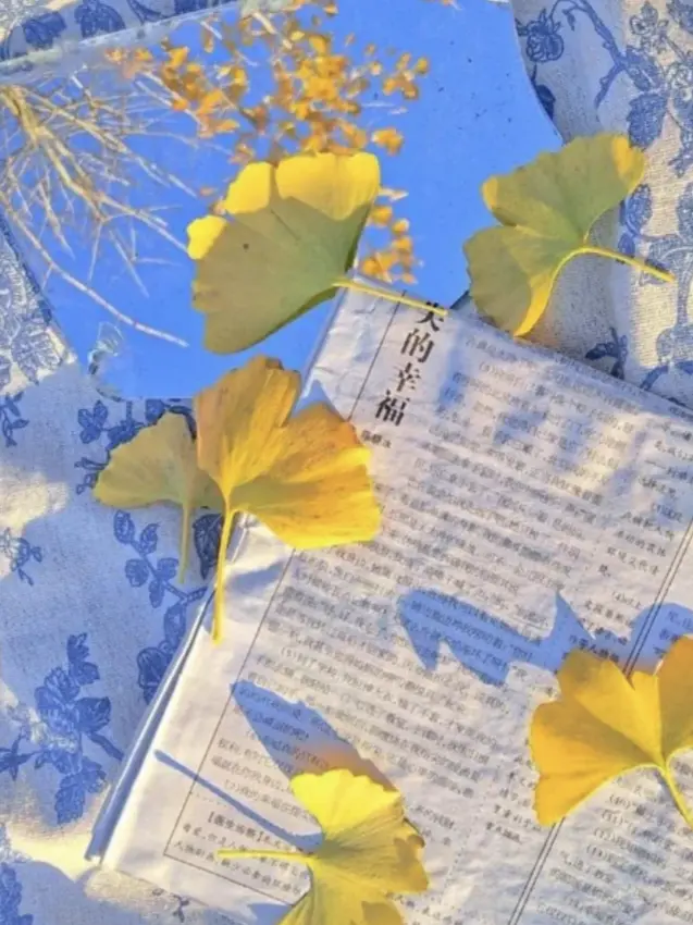 Evve의 기억 도서관