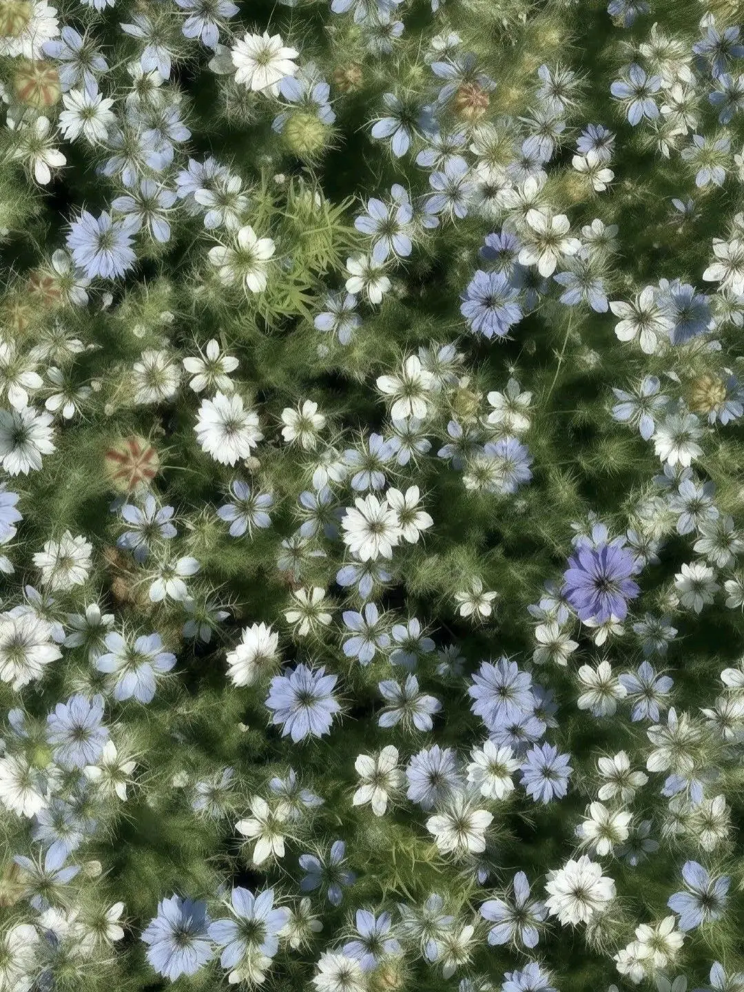 mohumoko0217의 プロセカ！！！