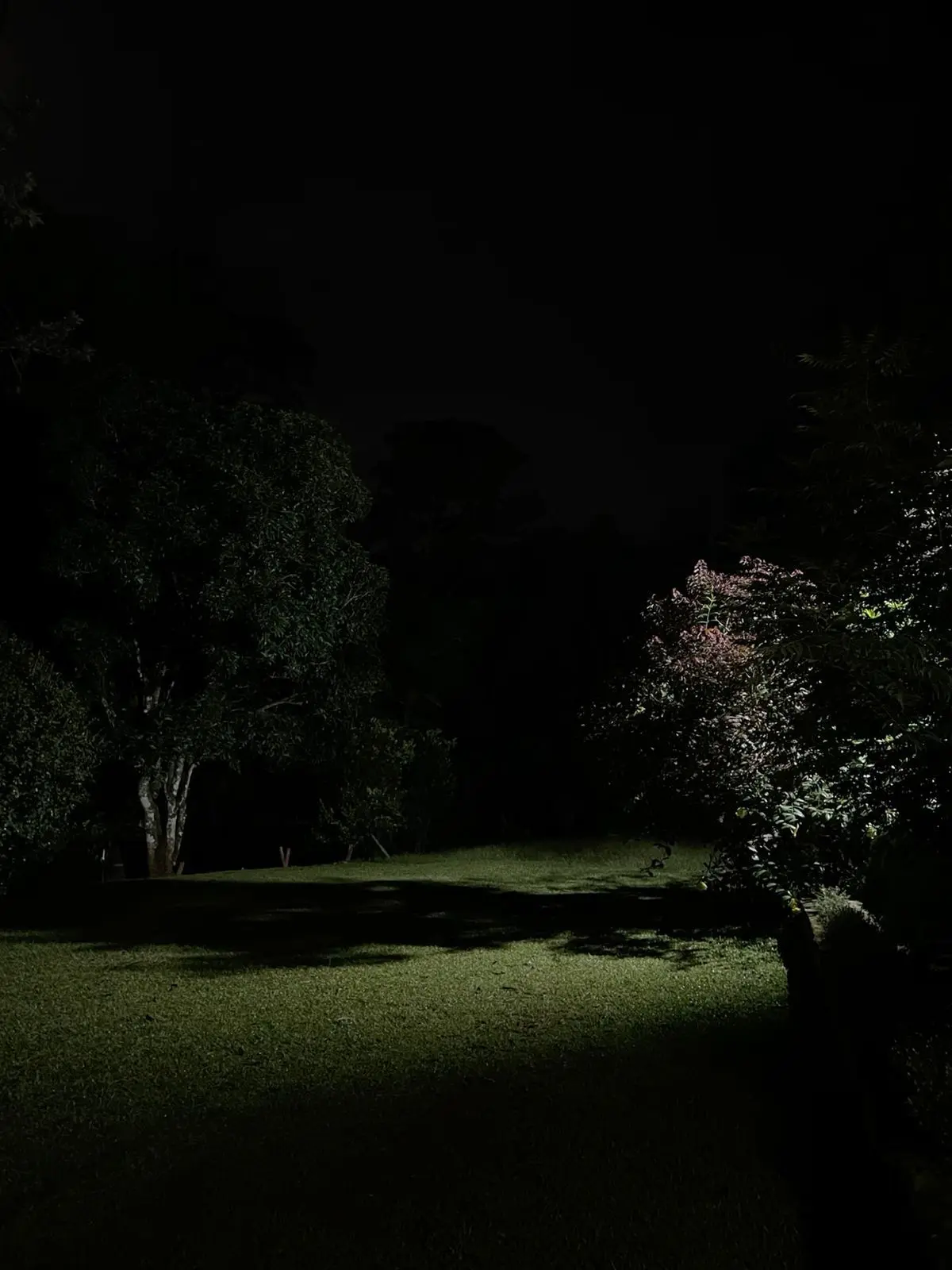 Ma9no1ia의 jardinier