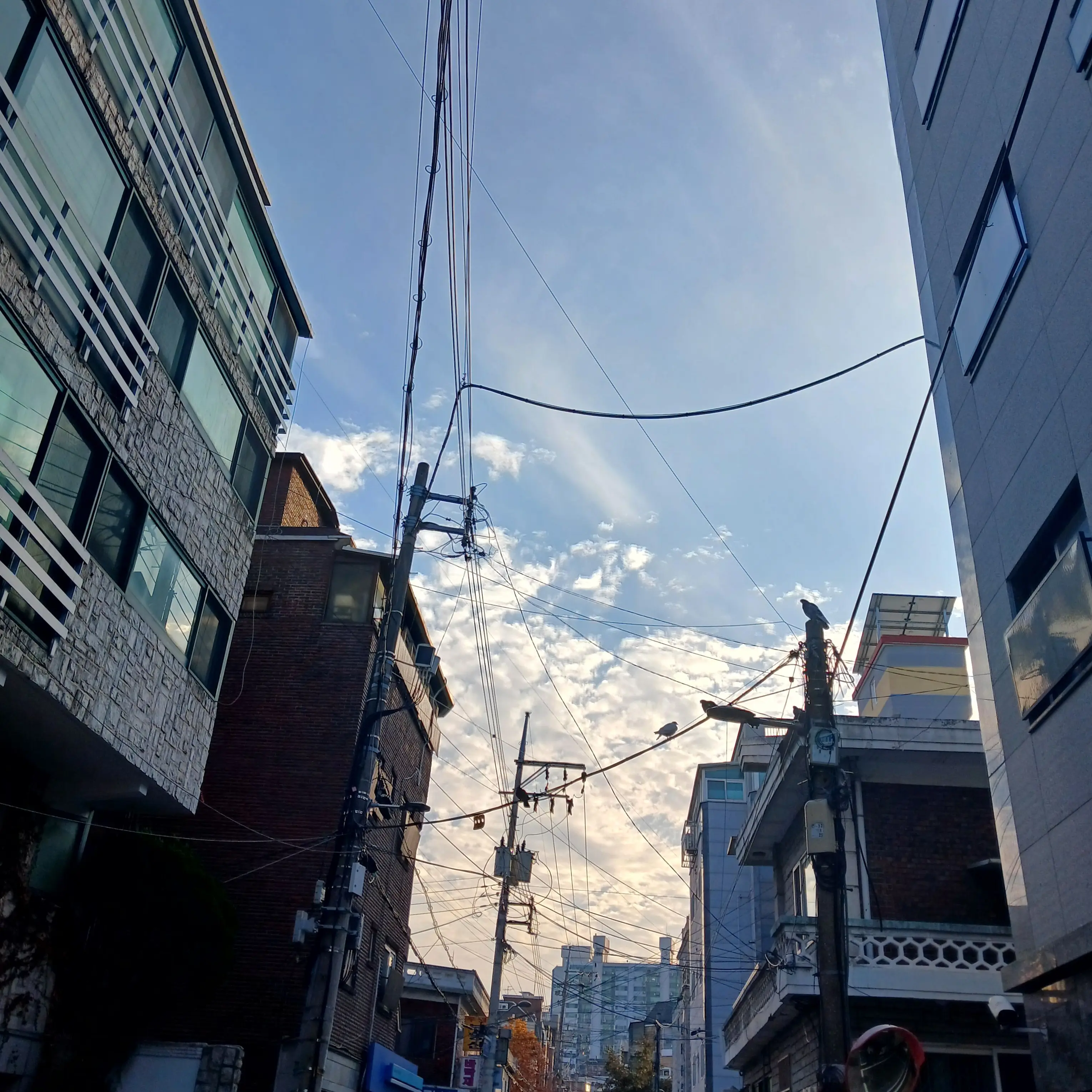 shinyu_1105의 우융