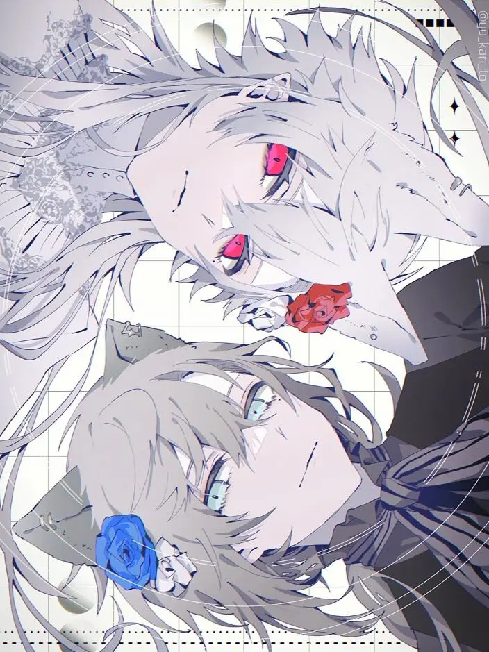 OutlawGecko7092의 大好きな猫ちゃん達