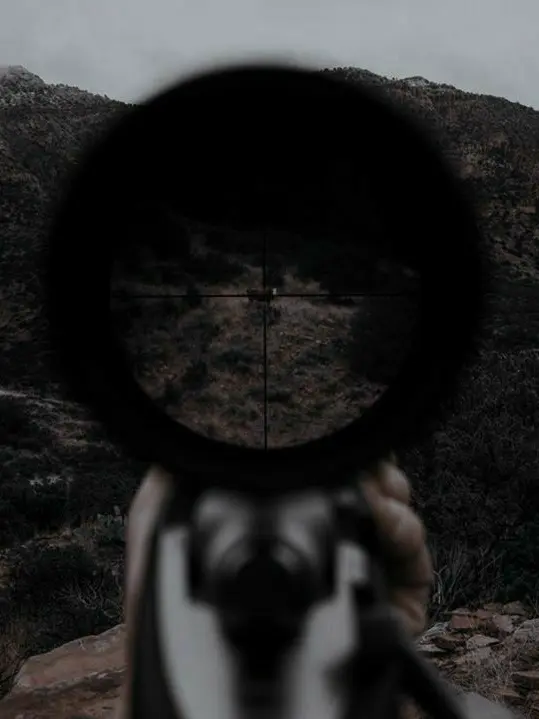 Notyourdesire의 Assassin (BL/GL/WLM/MLW)