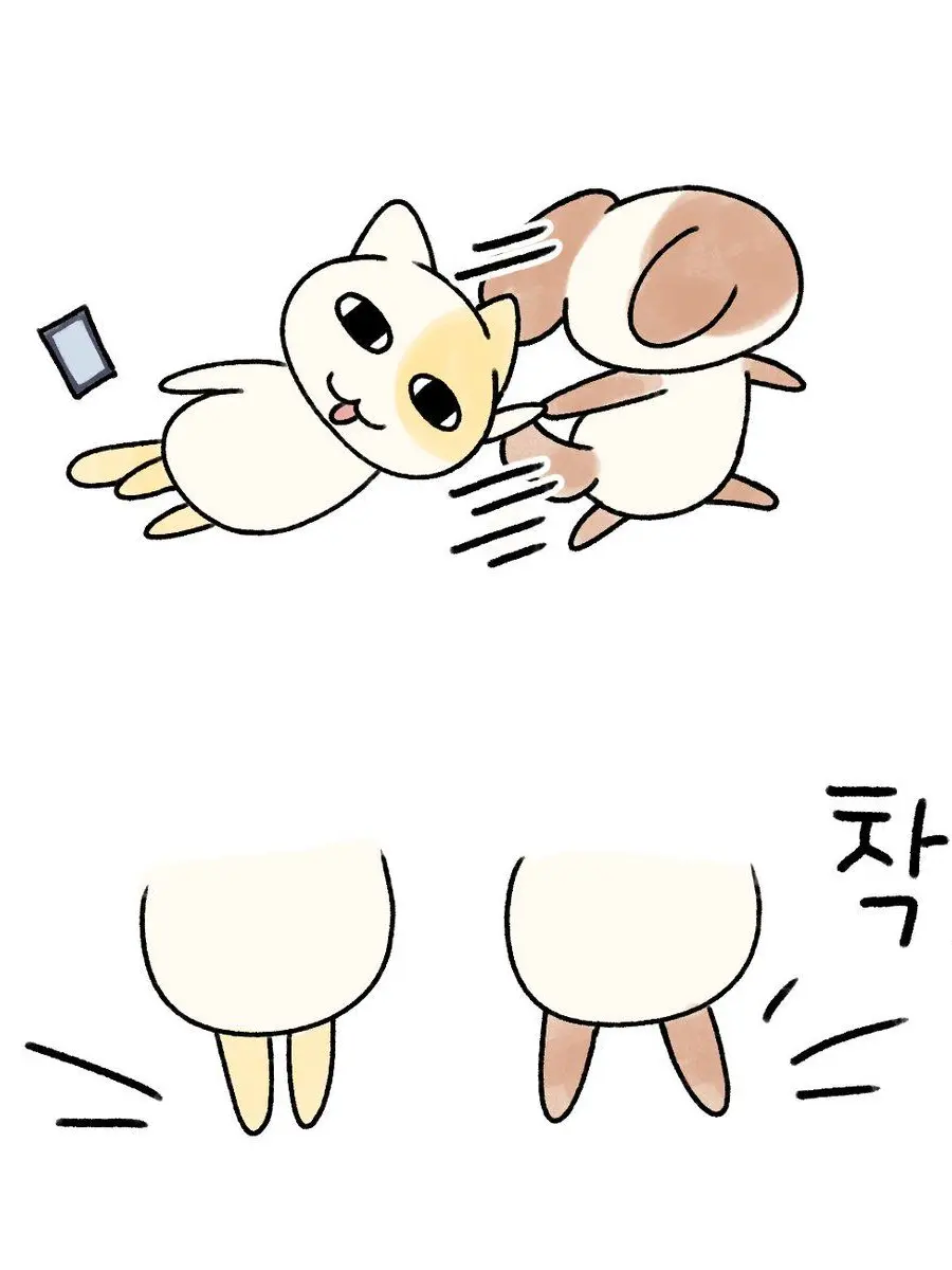 nzrrwaw의 ㅁㅌㅇ