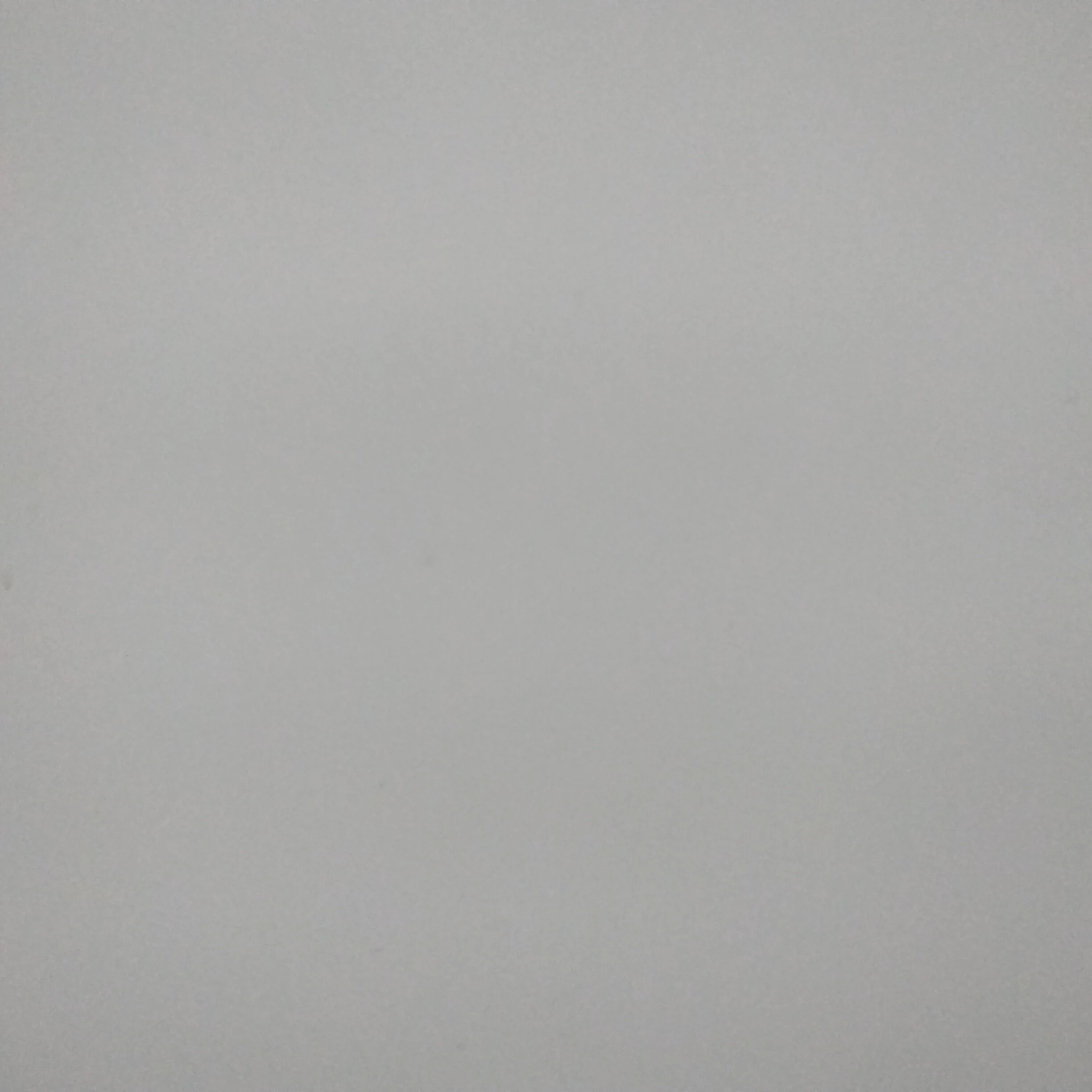 한지성