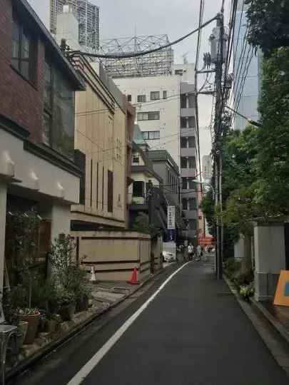 819bigbang2ne1의 日本の不良
