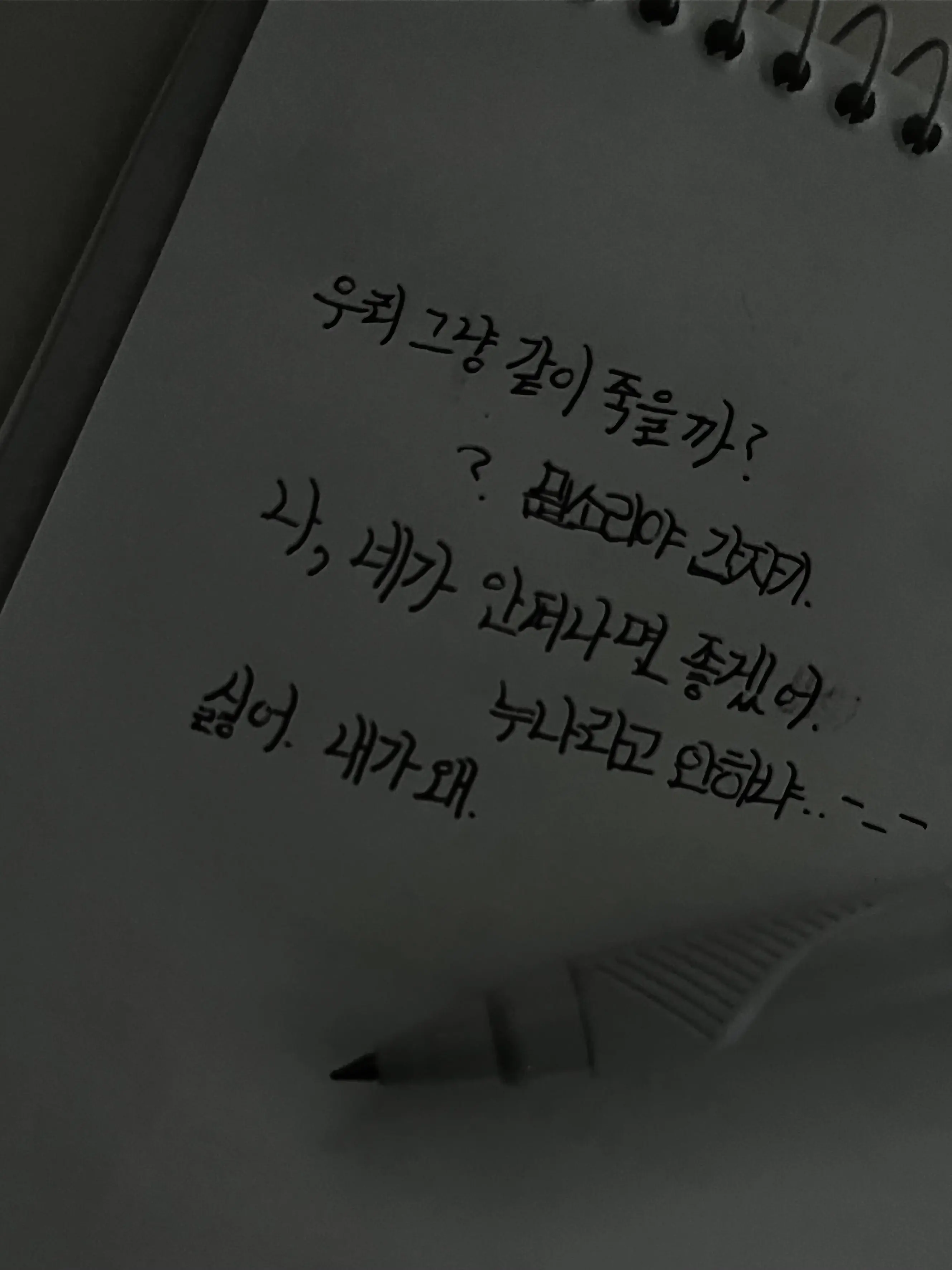 S.xeshkr의 ㅤ