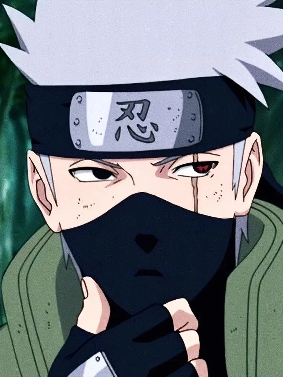 4729373719의 하타케 카카시