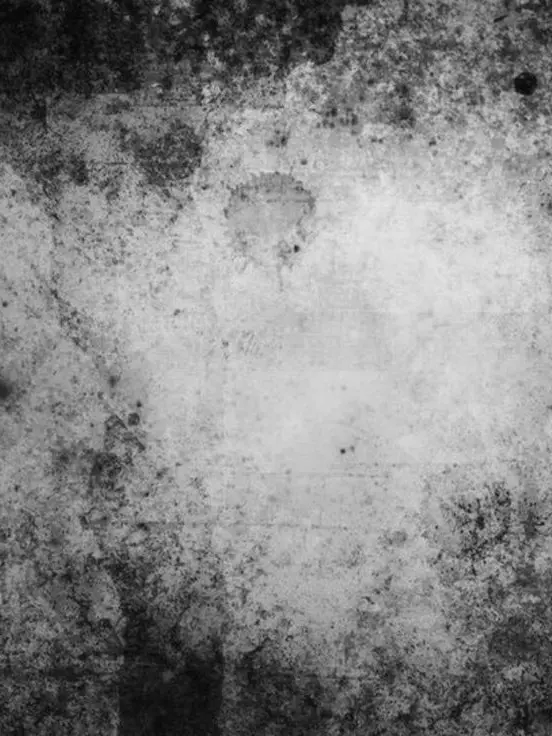 LavishCodec8242의 2人の養子